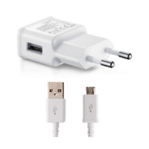 TECH FUZZION USB WALL CHARGER 1USB 2A + CABLE MICRO USB